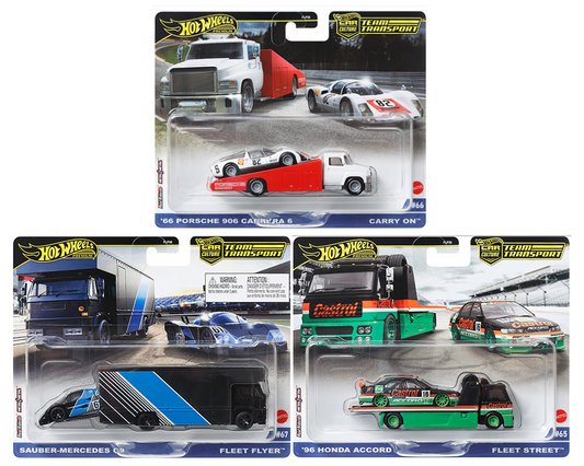 Hot Wheels 1:64 Team Transport 2024 B Case Assortment FLF56-957B